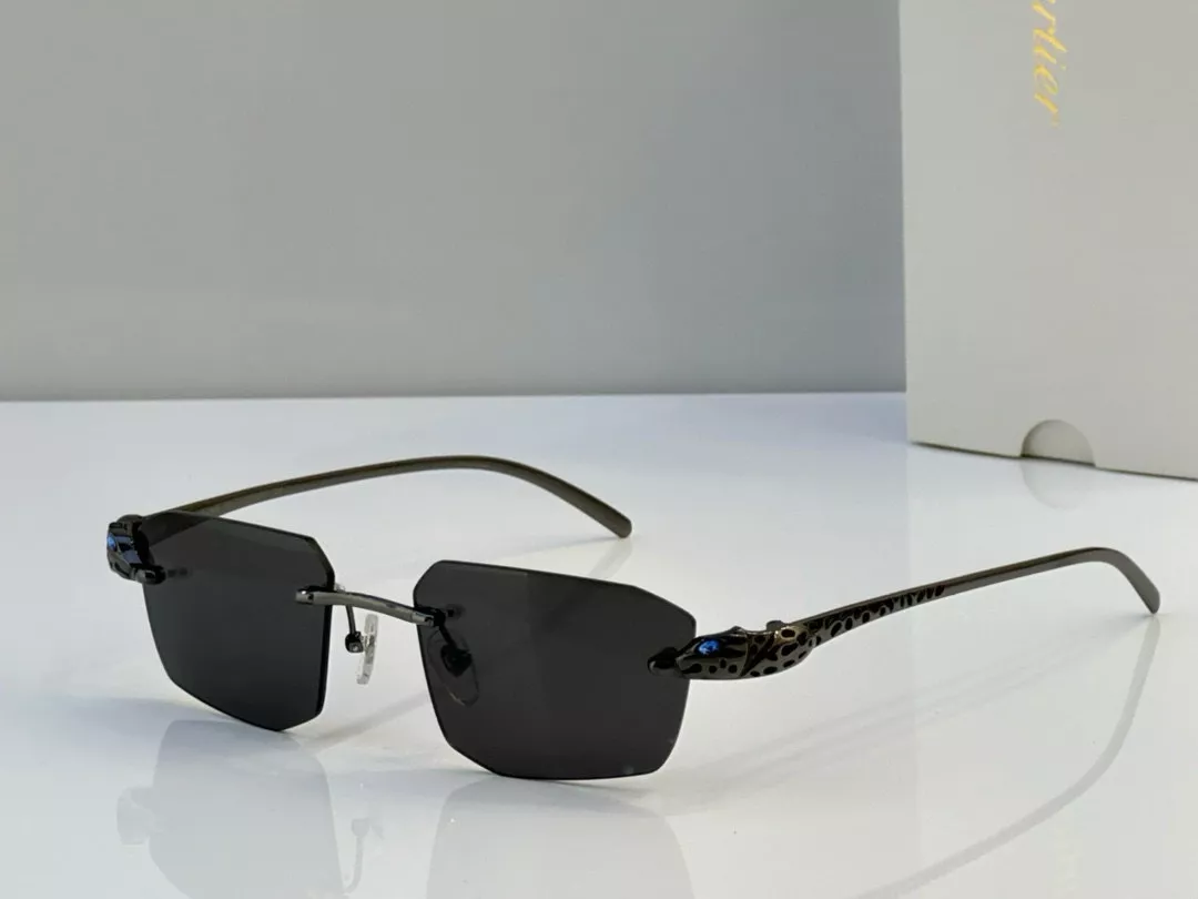 EasyMatch 670 Cartier AAA Quality Sunglassess