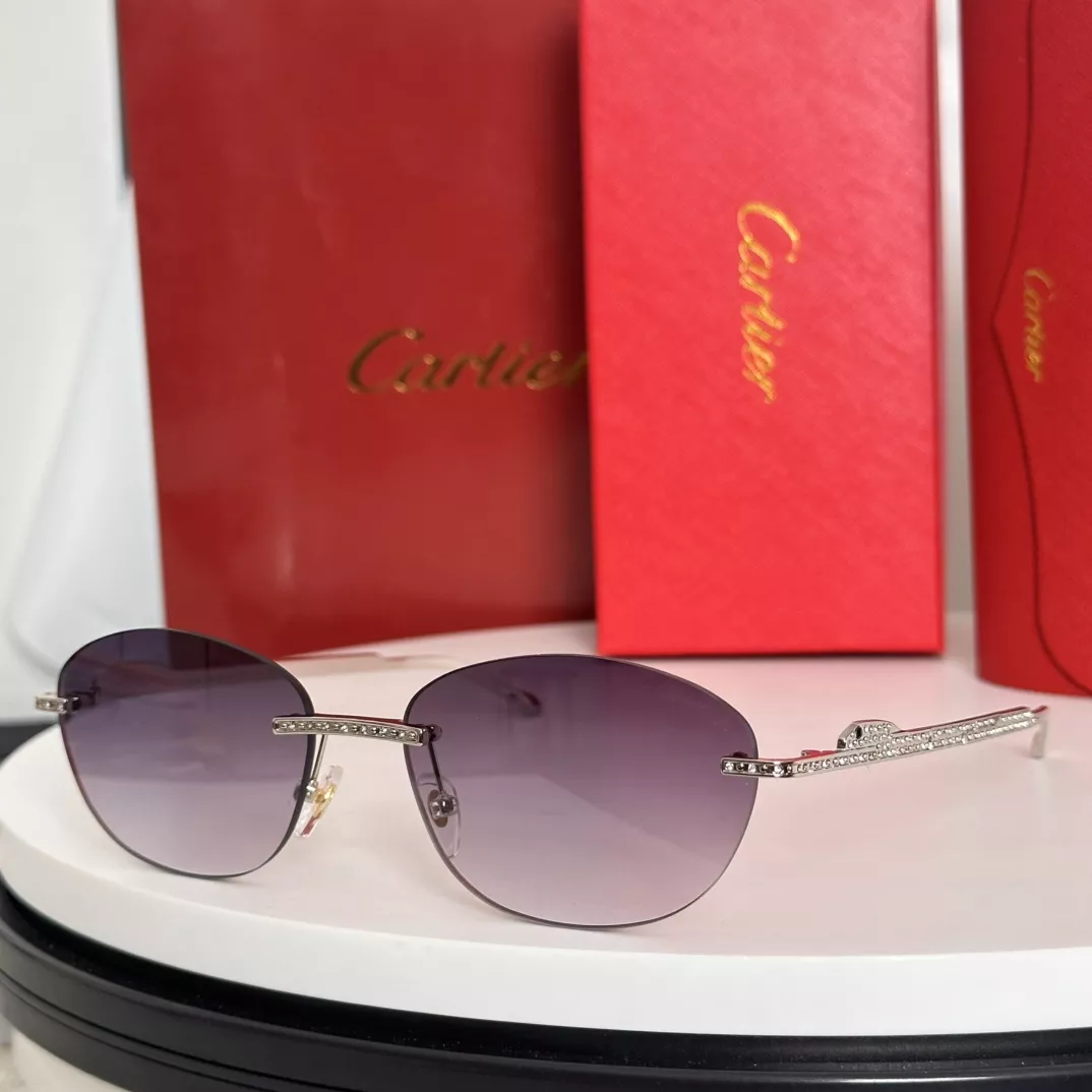 EasyMatch 9066 Cartier AAA Quality Sunglassess
