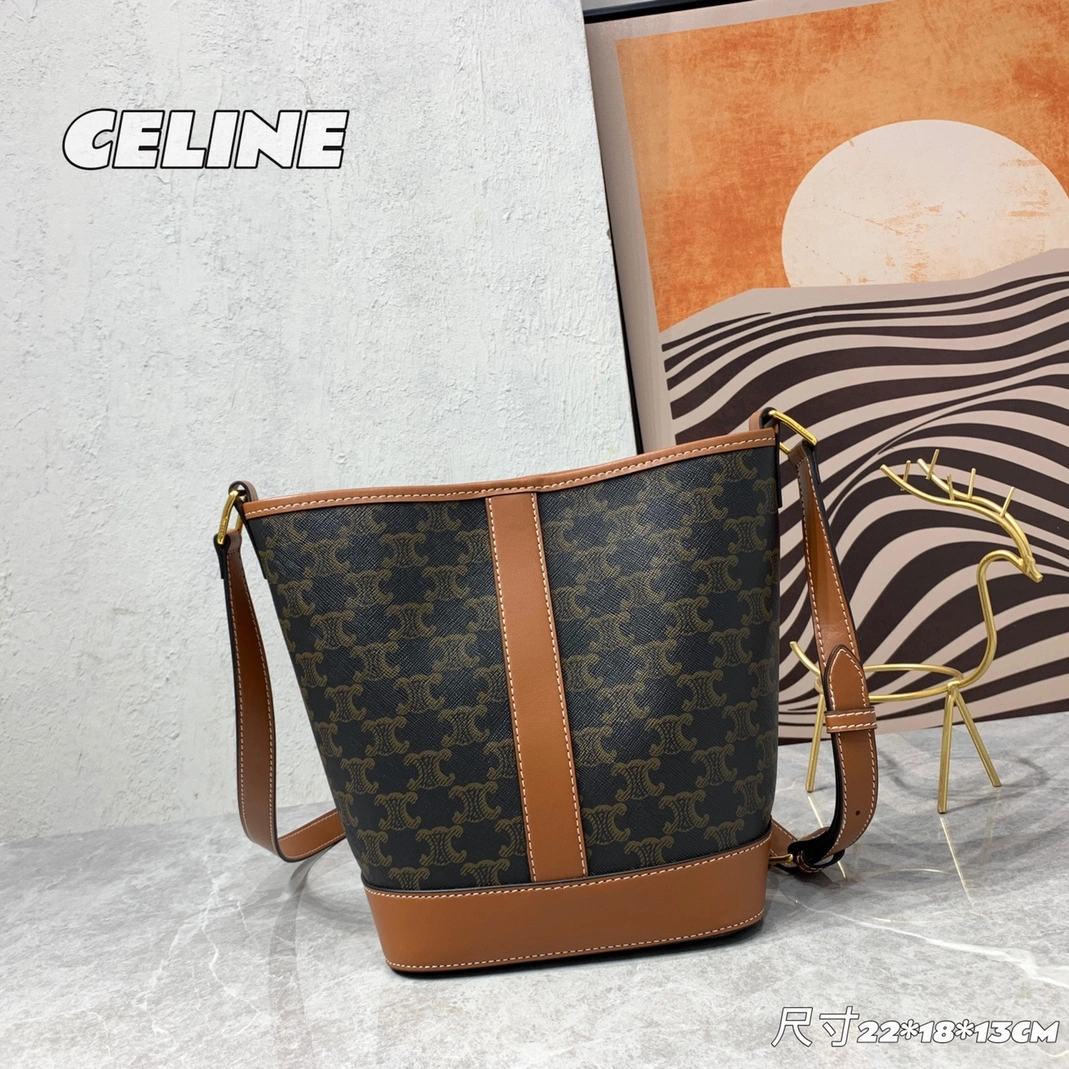 EasyMatch 9093 Celine AAA Quality Messenger Bags For Women