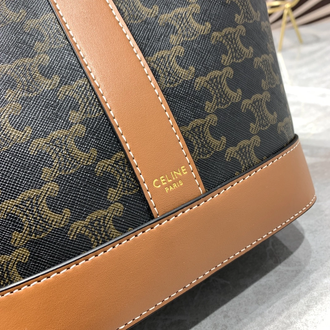 EasyMatch 9093 Celine AAA Quality Messenger Bags For Women