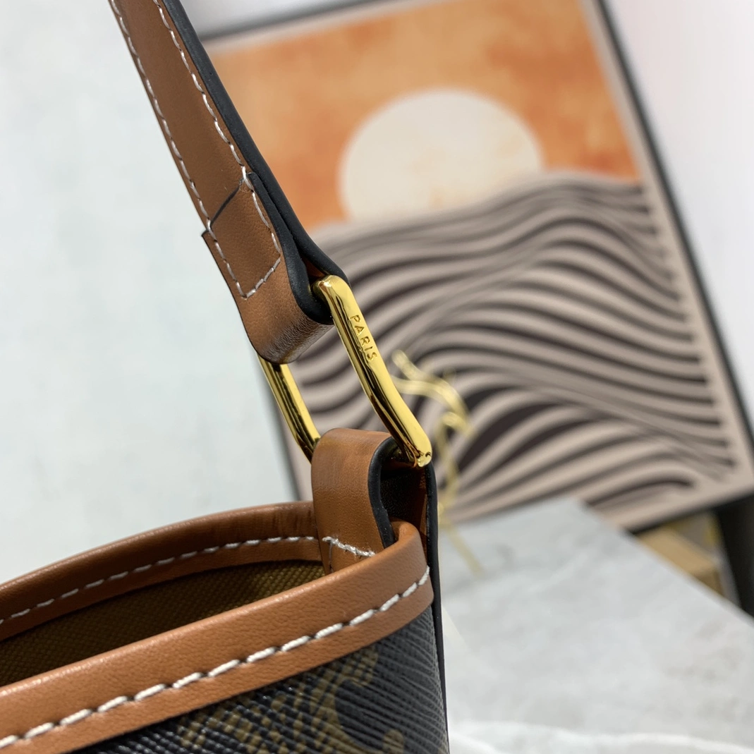 EasyMatch 9093 Celine AAA Quality Messenger Bags For Women