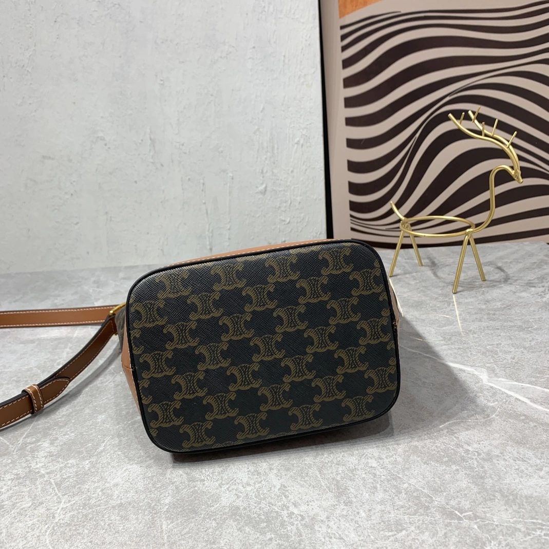EasyMatch 9093 Celine AAA Quality Messenger Bags For Women