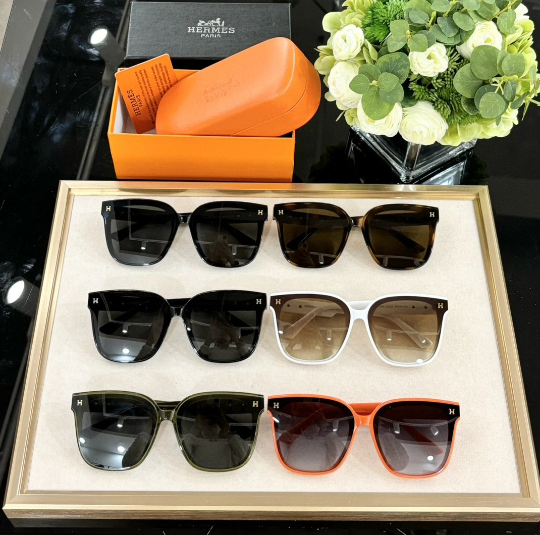 Efficient 2867 Hermes AAA Quality Sunglasses