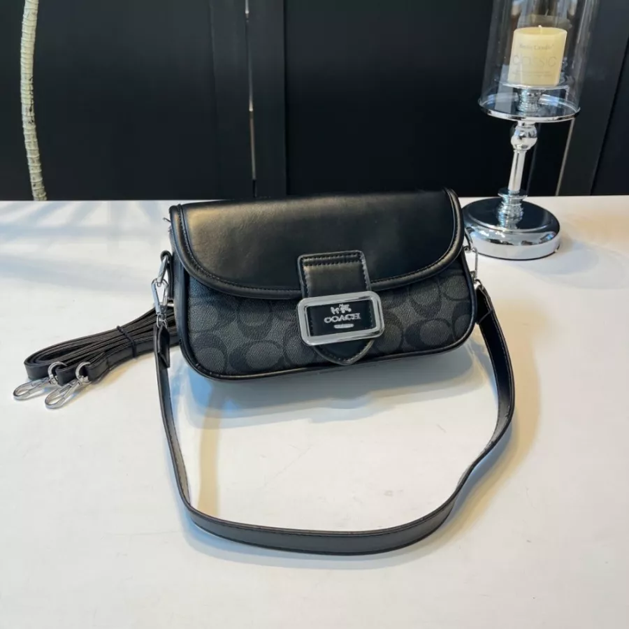Efficient 493 Coach Messenger Bag For Women