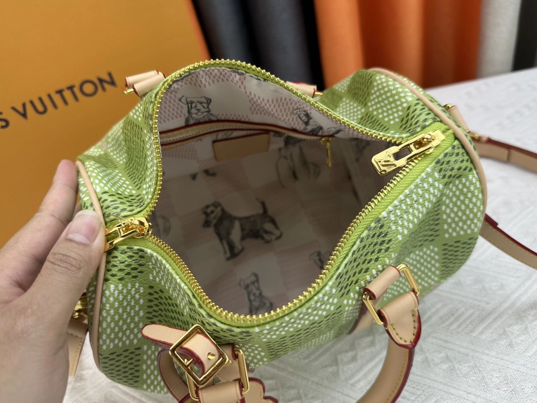 Efficient 8555 Louis Vuitton AAA Quality Handbags For Women