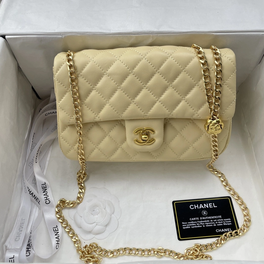 Elegant 2195 Chanel AAA Quality Messenger Bags For Women