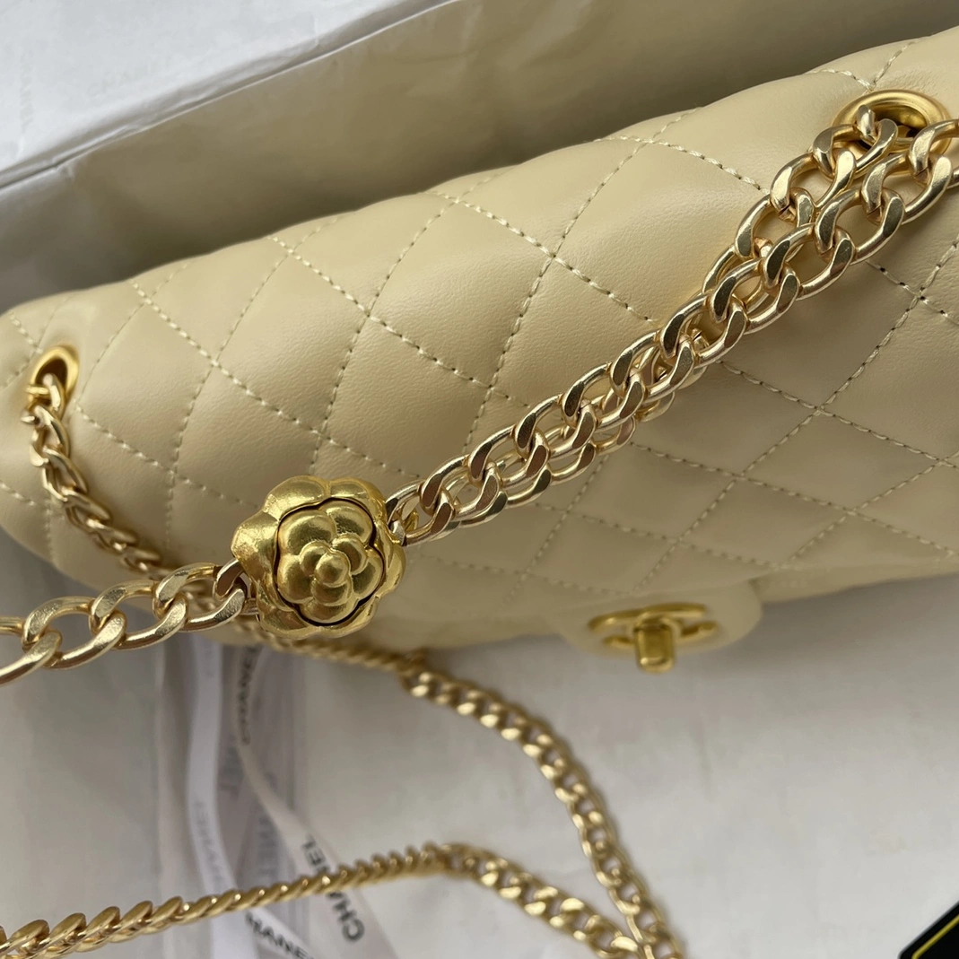 Elegant 2195 Chanel AAA Quality Messenger Bags For Women