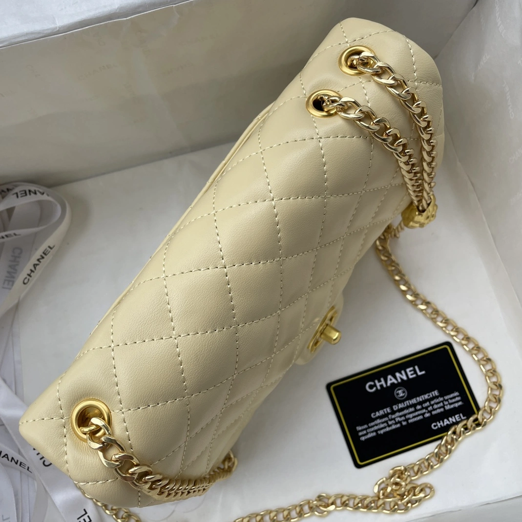 Elegant 2195 Chanel AAA Quality Messenger Bags For Women
