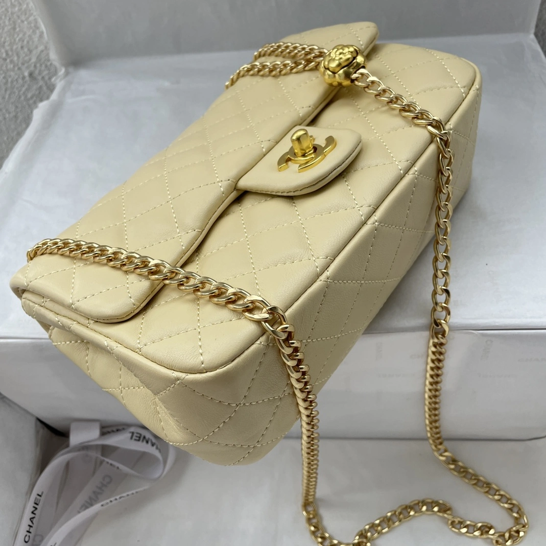 Elegant 2195 Chanel AAA Quality Messenger Bags For Women
