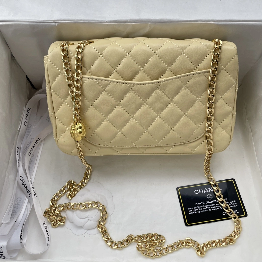 Elegant 2195 Chanel AAA Quality Messenger Bags For Women