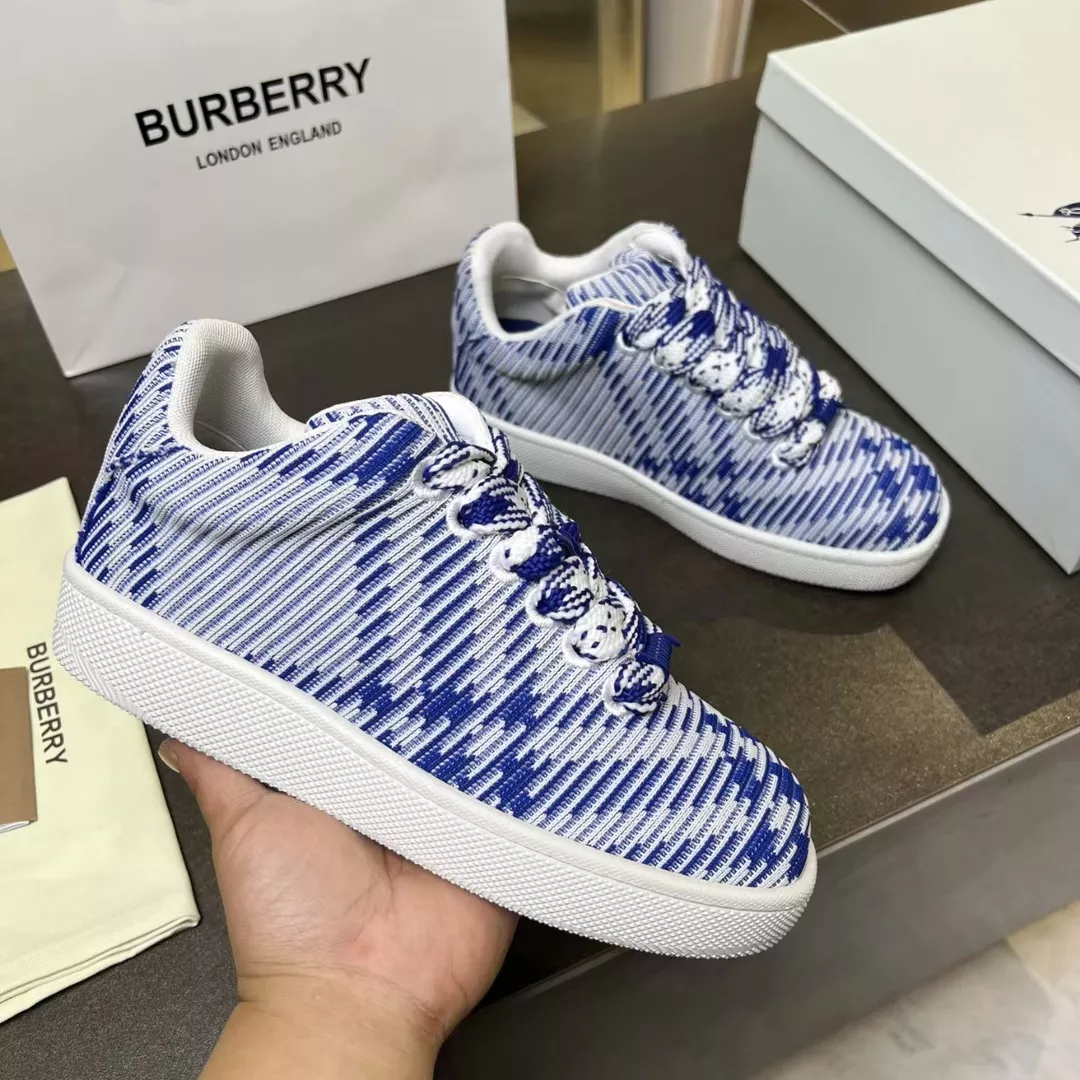 Elegant 2549 Burberry Casual Shoes For Men