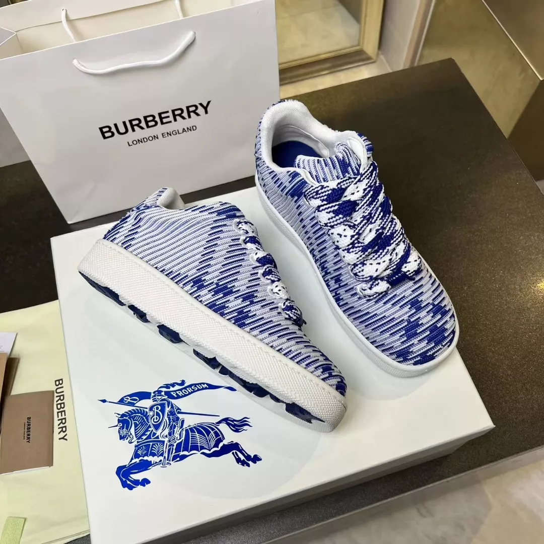Elegant 2549 Burberry Casual Shoes For Men
