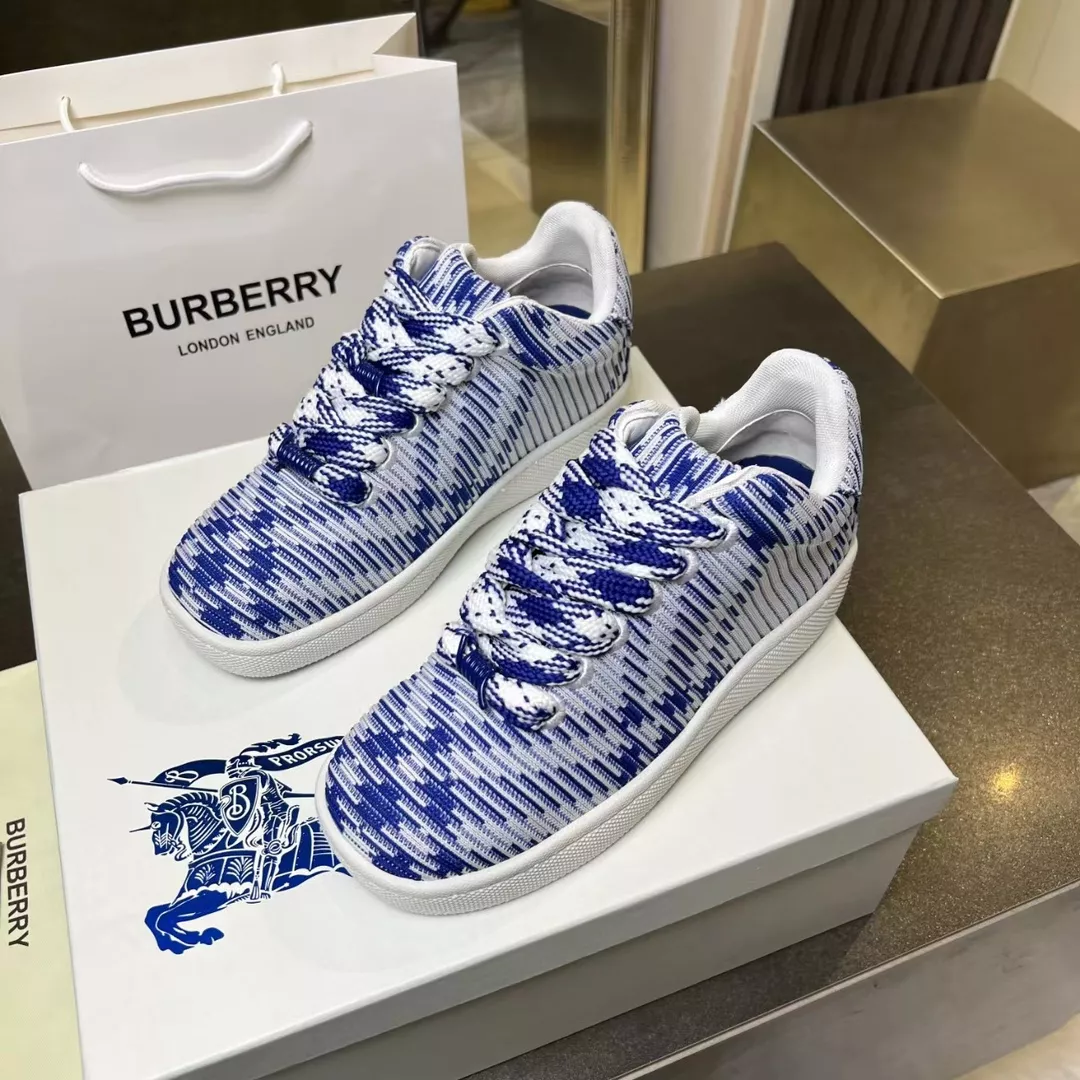 Elegant 2549 Burberry Casual Shoes For Men