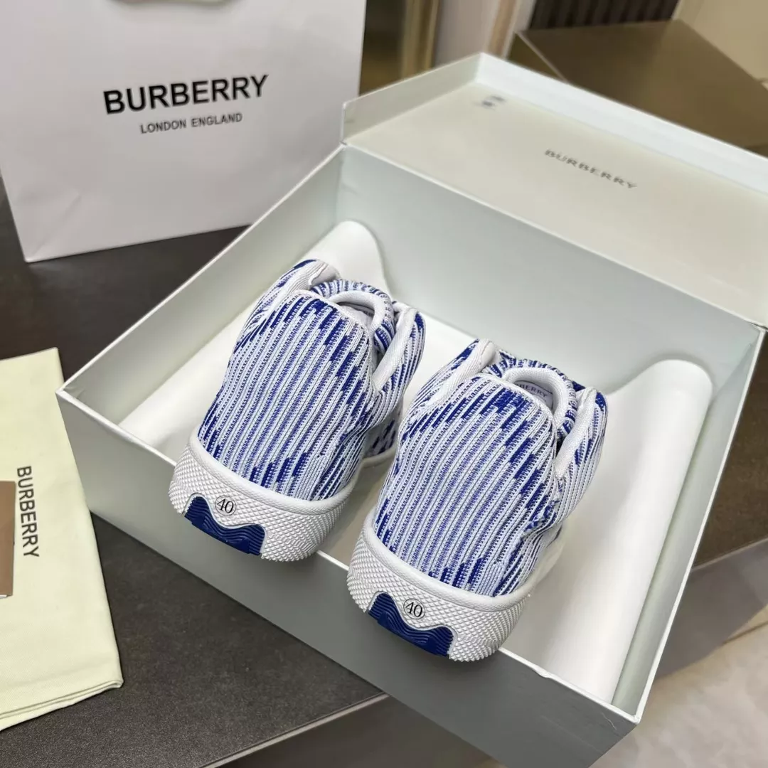 Elegant 2549 Burberry Casual Shoes For Men