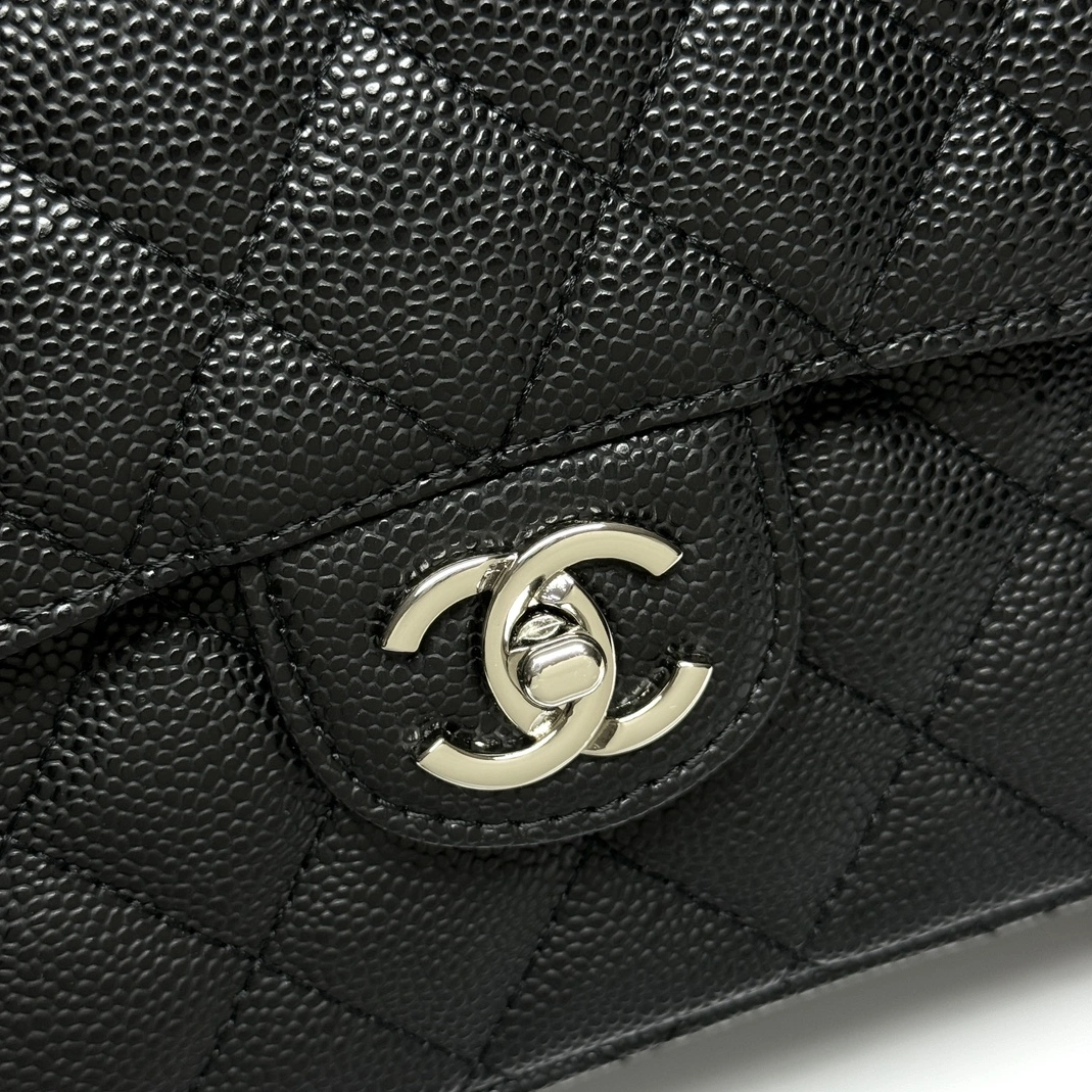 Elegant 289 Chanel AAA Quality Shoulder Bags For Women
