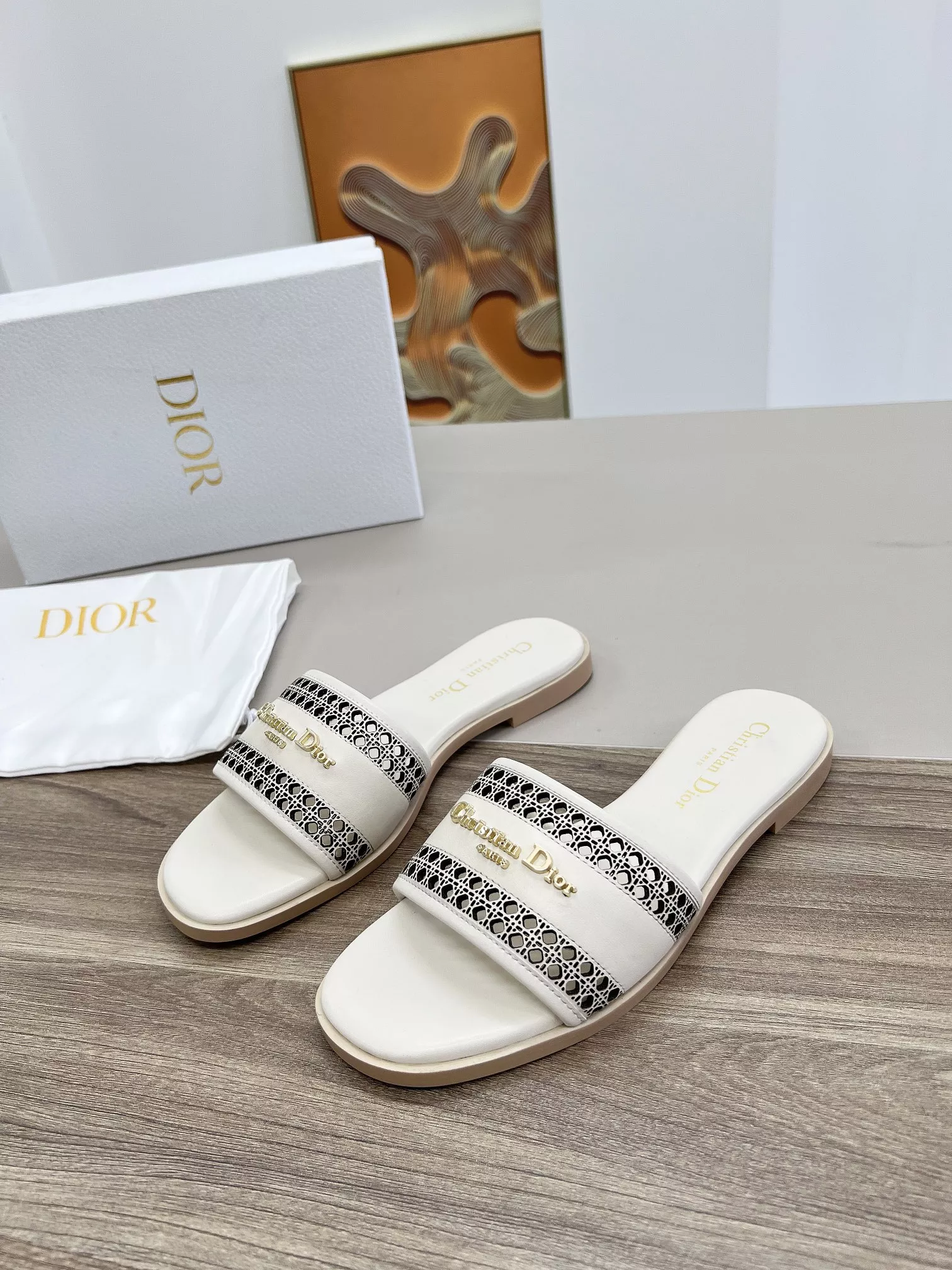 Elegant 4108 Christian Dior Slippers For Women