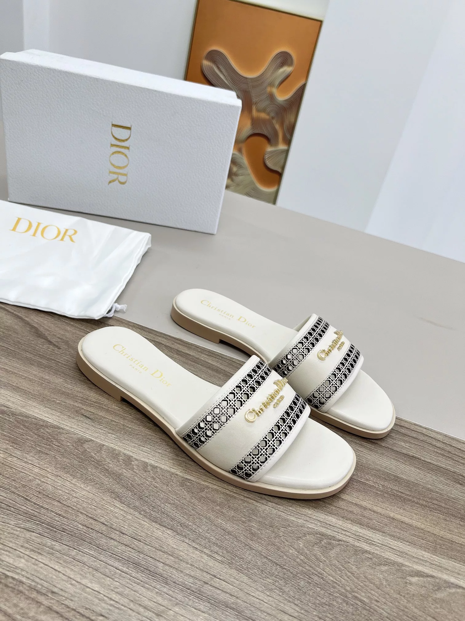 Elegant 4108 Christian Dior Slippers For Women