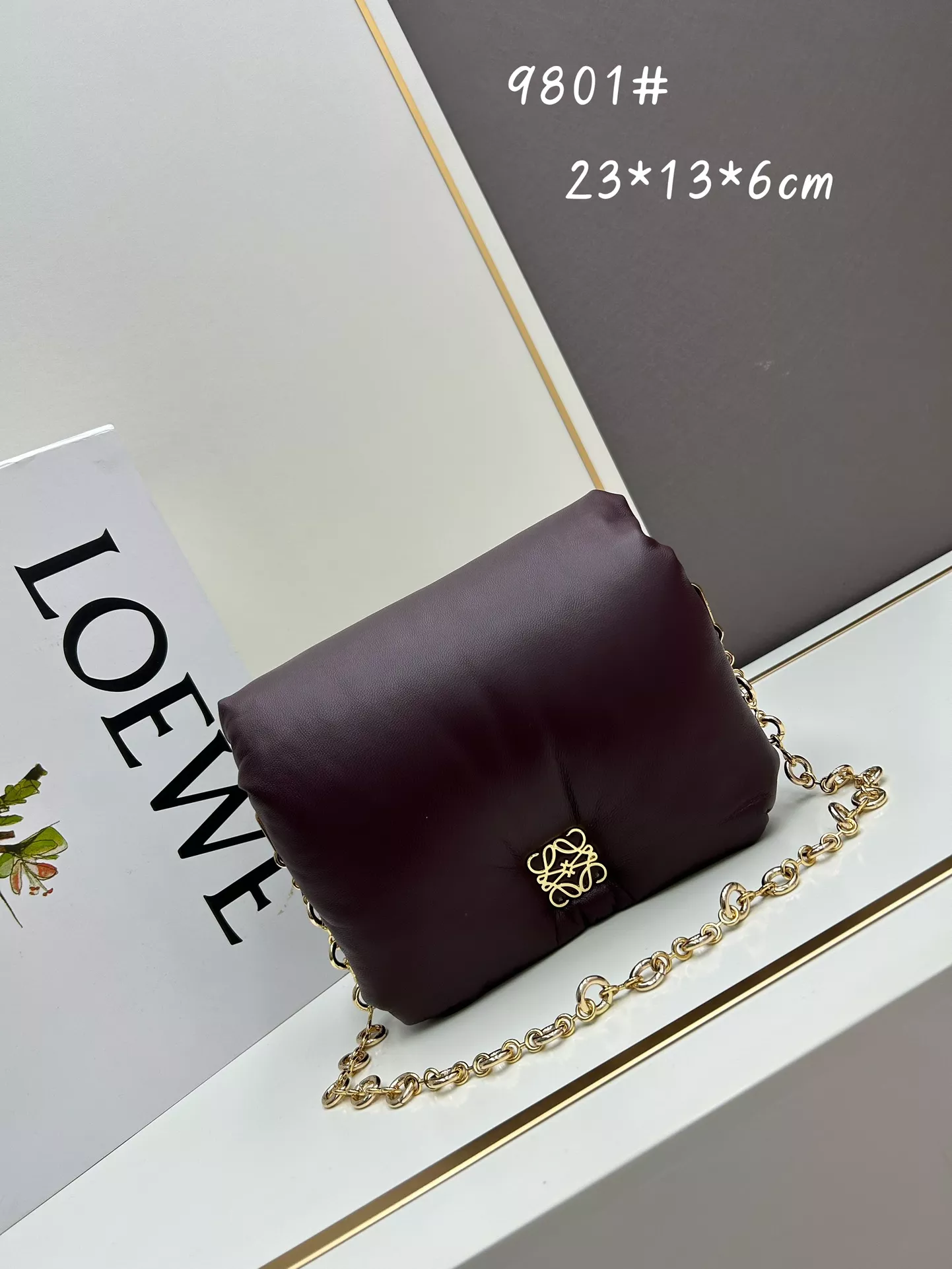 Elegant 5152 LOEWE AAA Quality Messenger Bags For Unisex
