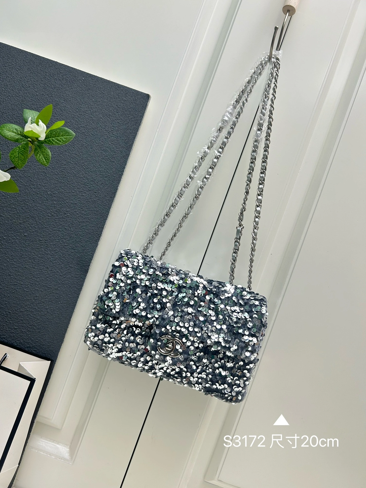 Elegant 5881 Chanel AAA Quality Shoulder Bags For Women