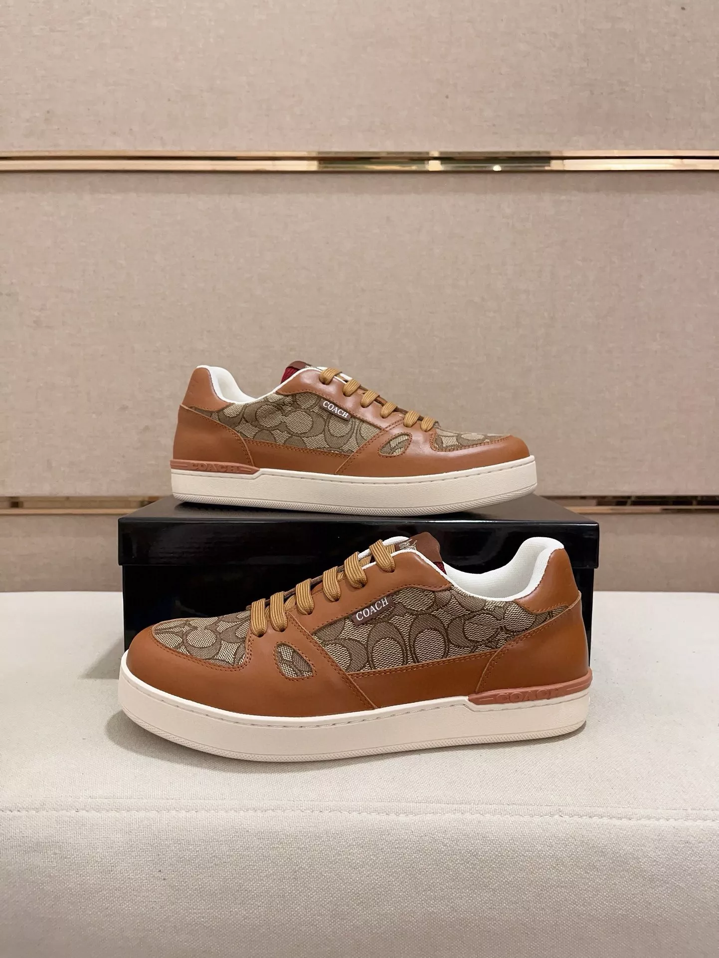 Elegant 829 Coach Fashion Shoes For Men