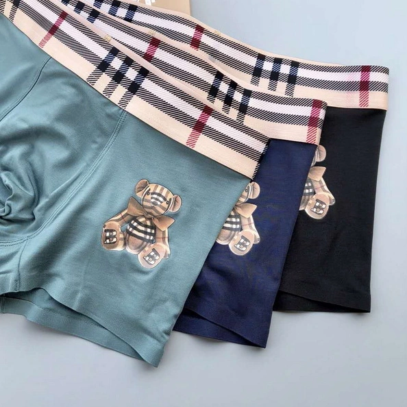 EyeCatching 3536 Burberry Underwear For Men