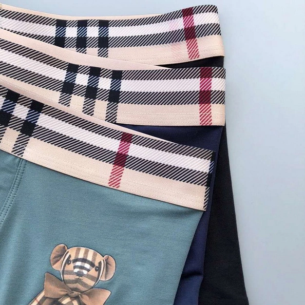 EyeCatching 3536 Burberry Underwear For Men