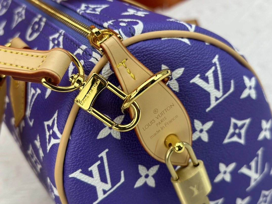 EyeCatching 4216 Louis Vuitton AAA Quality Handbags For Women
