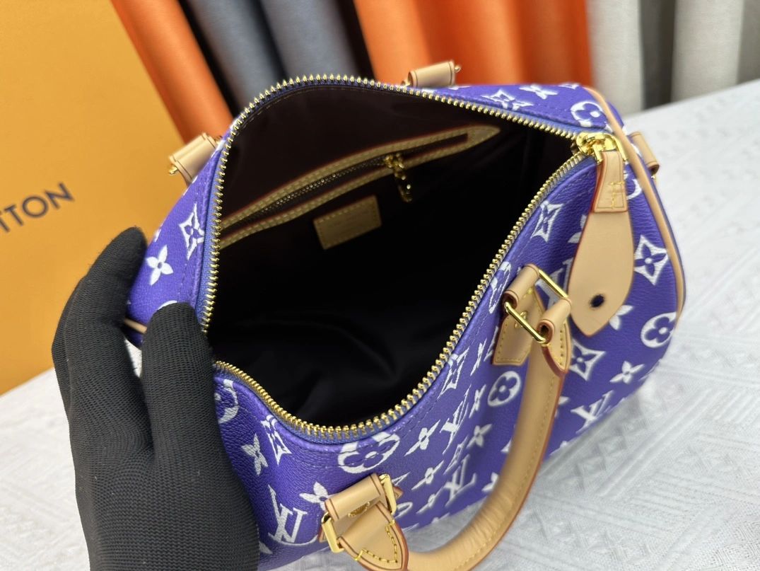 EyeCatching 4216 Louis Vuitton AAA Quality Handbags For Women