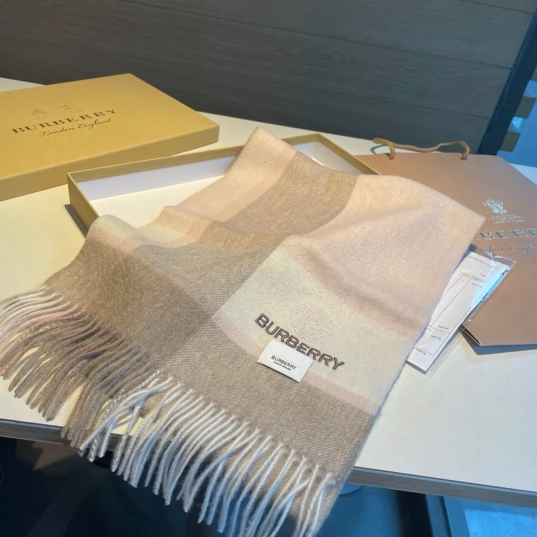 EyeCatching 4885 Burberry Scarf For Women