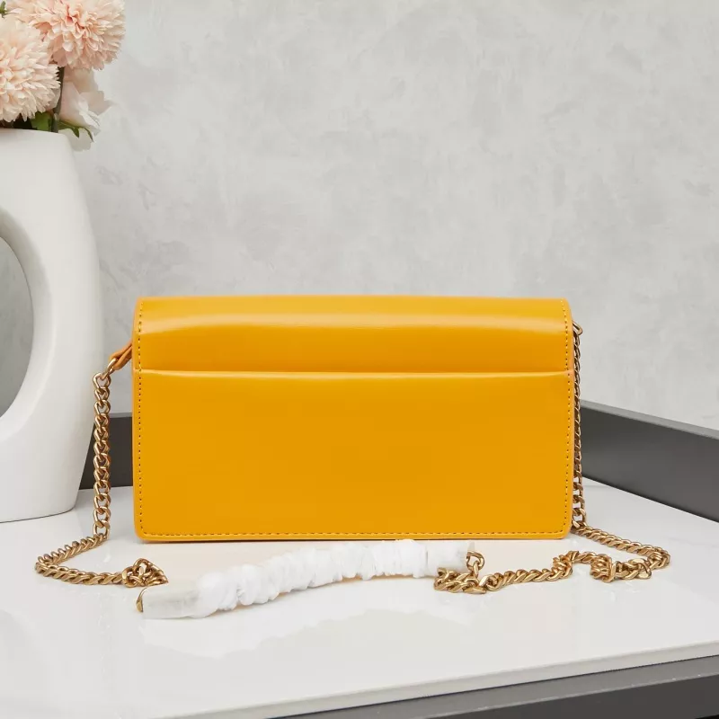 EyeCatching 5110 Yves Saint Laurent YSL AAA Quality Messenger Bags For Women