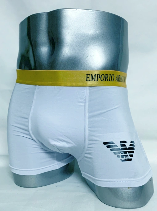 EyeCatching 5875 Armani Underwear For Men