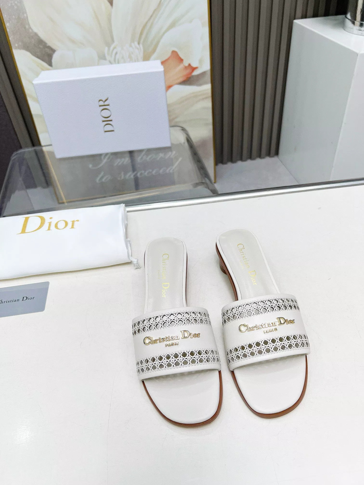 EyeCatching 8879 Christian Dior Slippers For Women