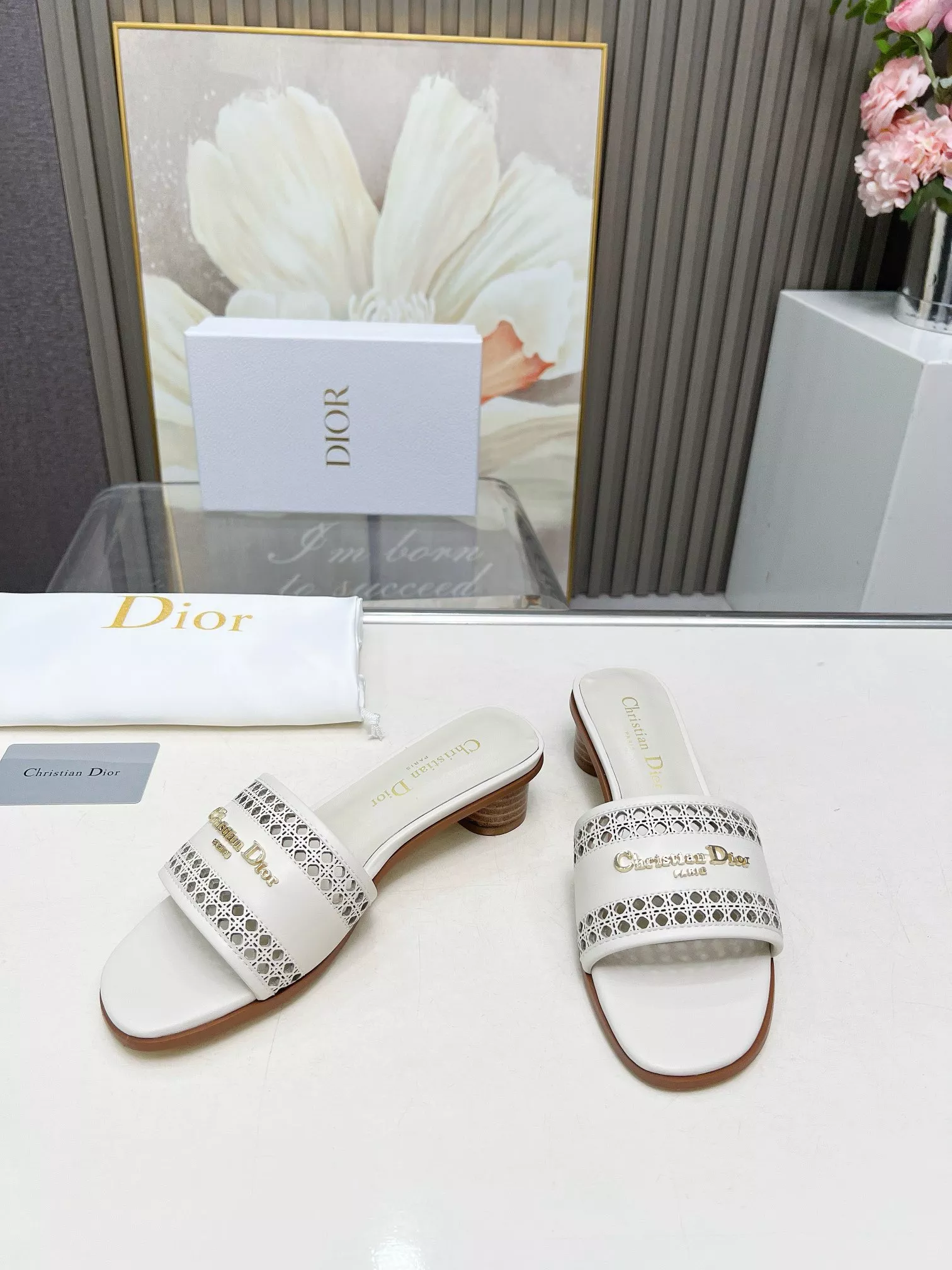 EyeCatching 8879 Christian Dior Slippers For Women
