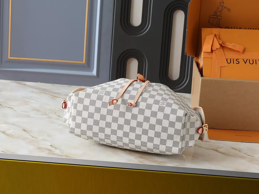 EyeCatching 9678 Louis Vuitton HandBags For Women