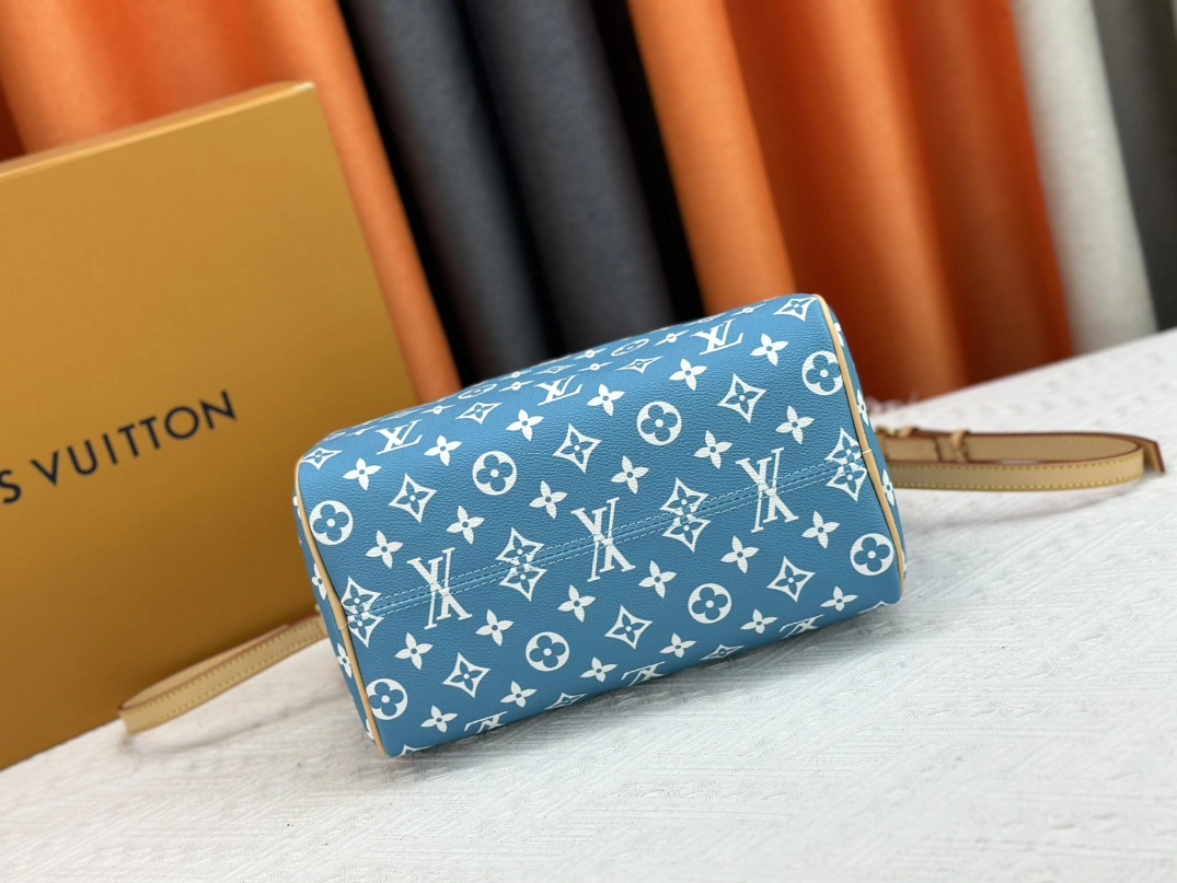 Fashionable 2071 Louis Vuitton AAA Quality Handbags For Women