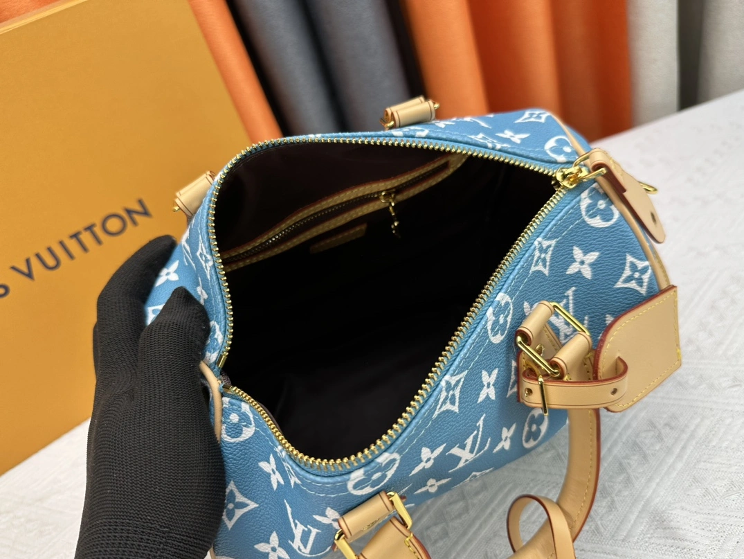 Fashionable 2071 Louis Vuitton AAA Quality Handbags For Women
