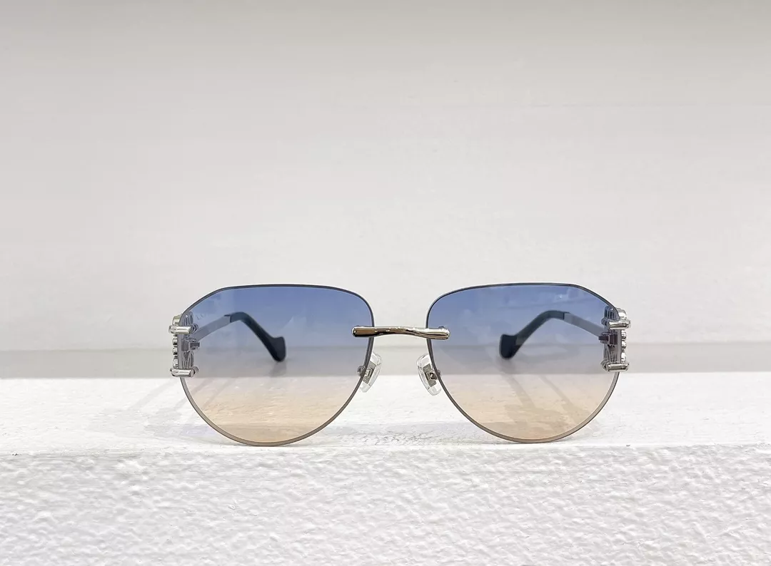 Fashionable 2922 LOEWE AAA Quality Sunglasses