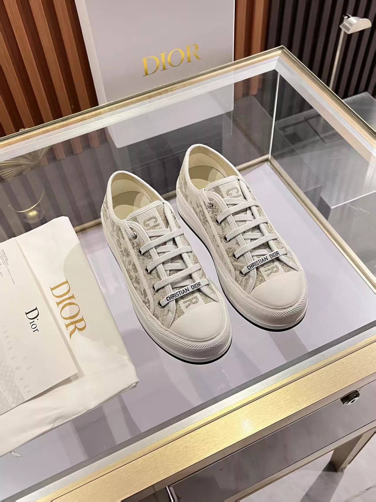 Fashionable 6039 Christian Dior Casual Shoes For Women