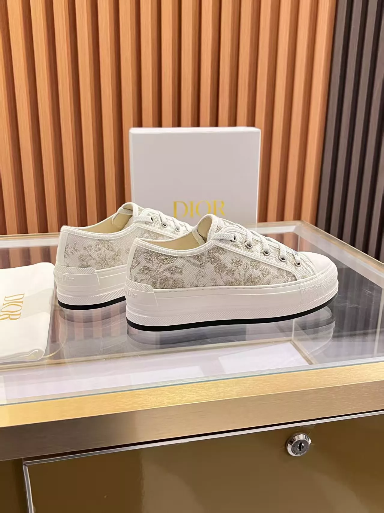 Fashionable 6039 Christian Dior Casual Shoes For Women