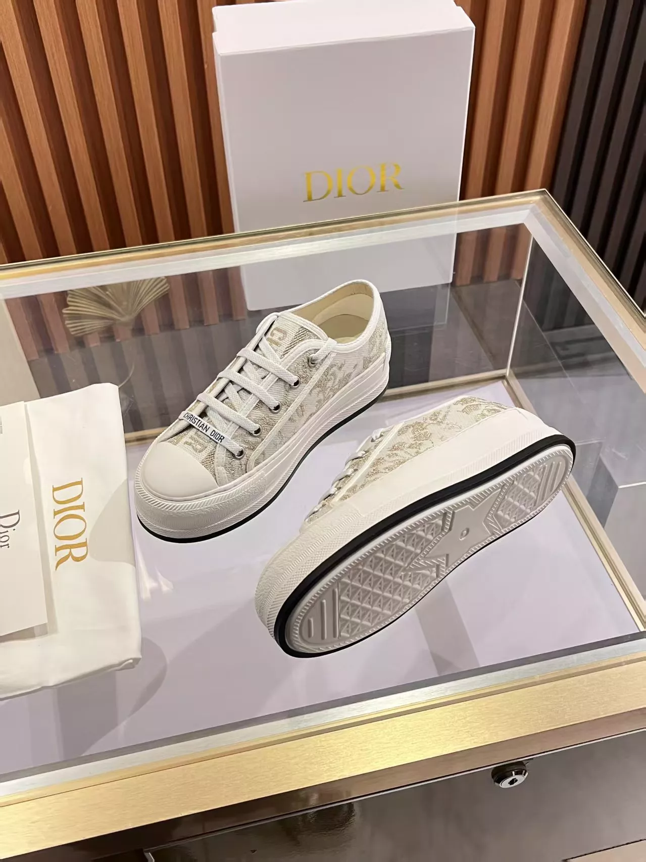 Fashionable 6039 Christian Dior Casual Shoes For Women