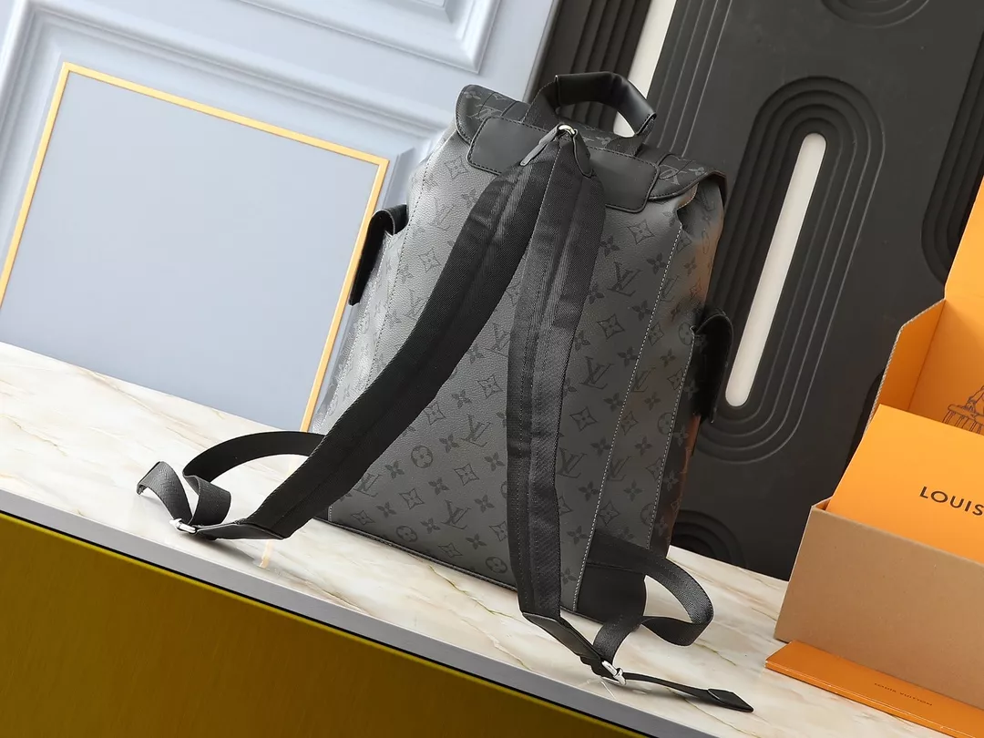 Fashionable 667 Louis Vuitton LV AAA Man Backpacks