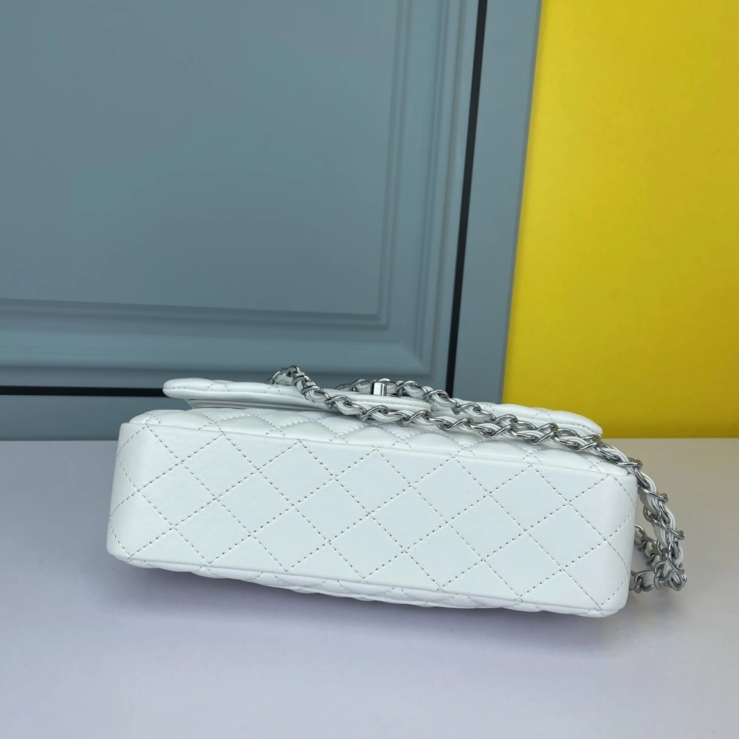 Fashionable 8568 Chanel AAA Quality Shoulder Bags For Women