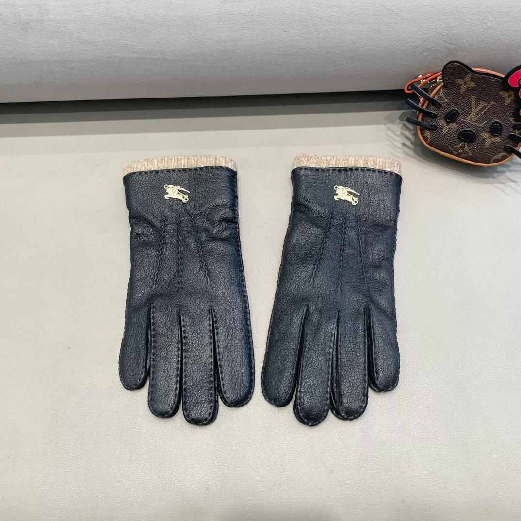 Flexible 1021 Burberry Gloves For Men