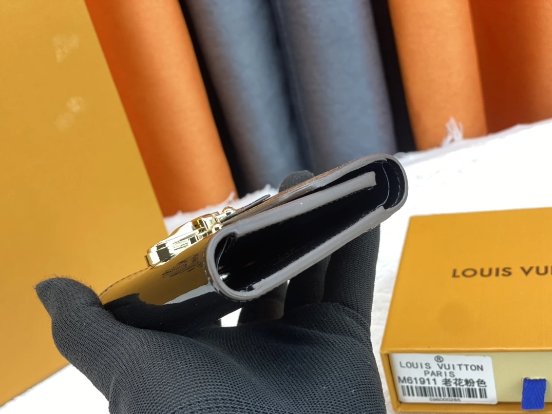 Flexible 2009 Louis Vuitton AAA Quality Wallets For Women