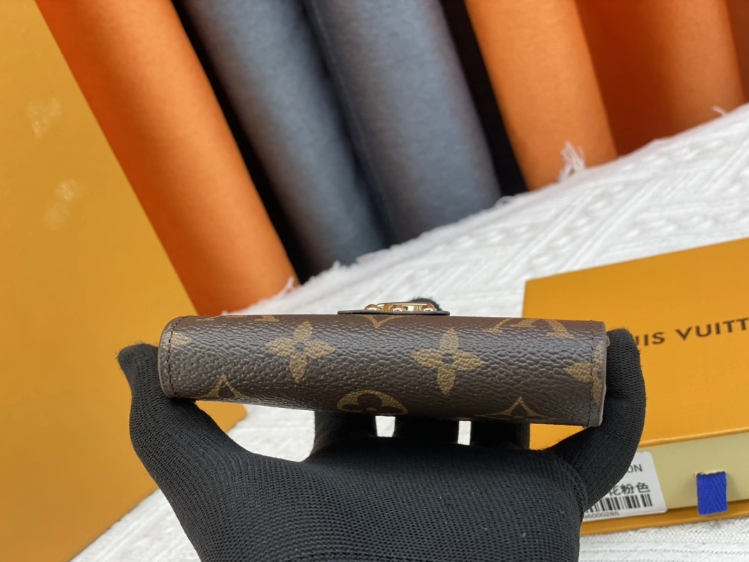 Flexible 2009 Louis Vuitton AAA Quality Wallets For Women