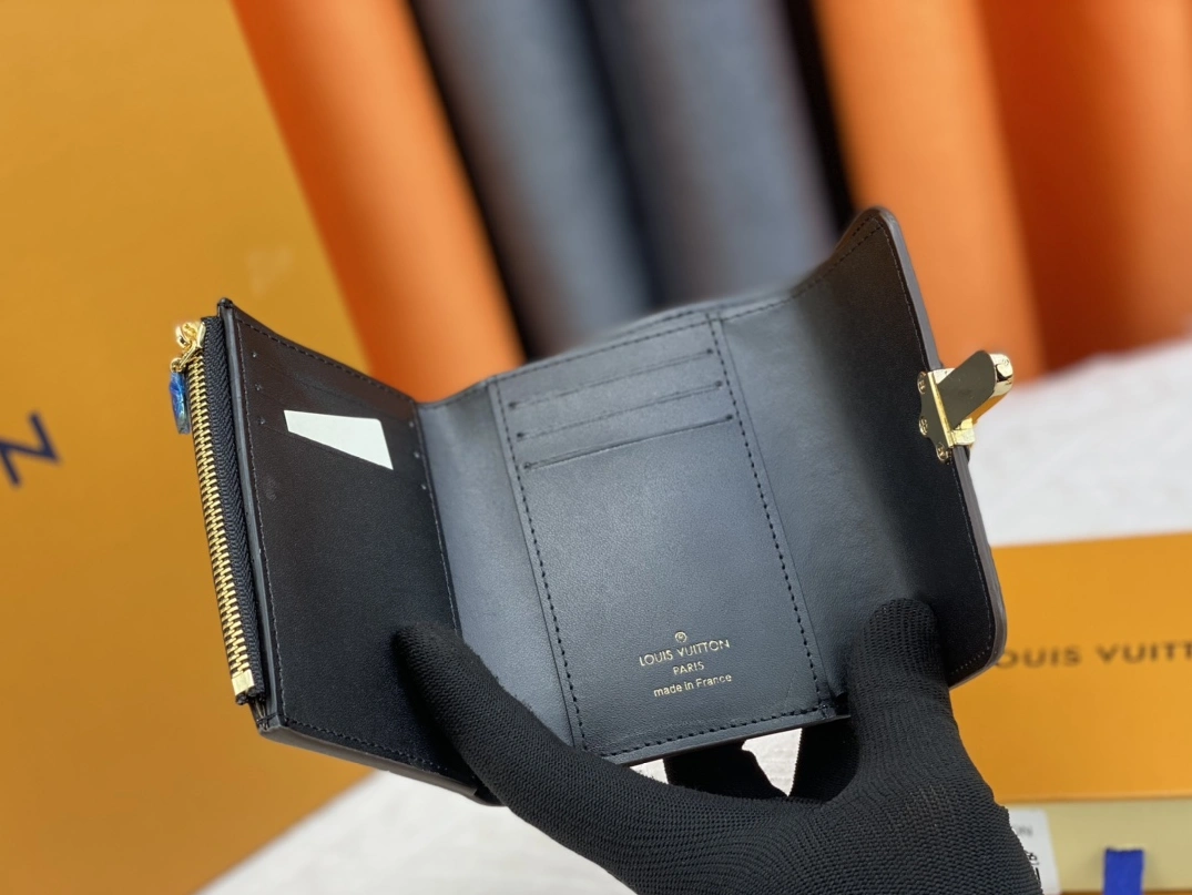 Flexible 2009 Louis Vuitton AAA Quality Wallets For Women