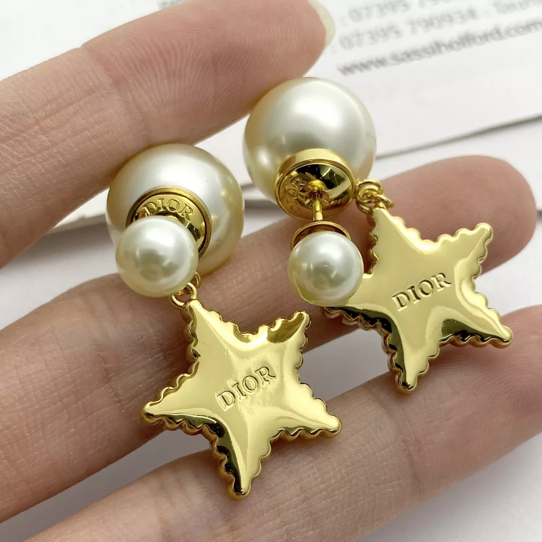 Flexible 2179 Christian Dior Earrings For Women