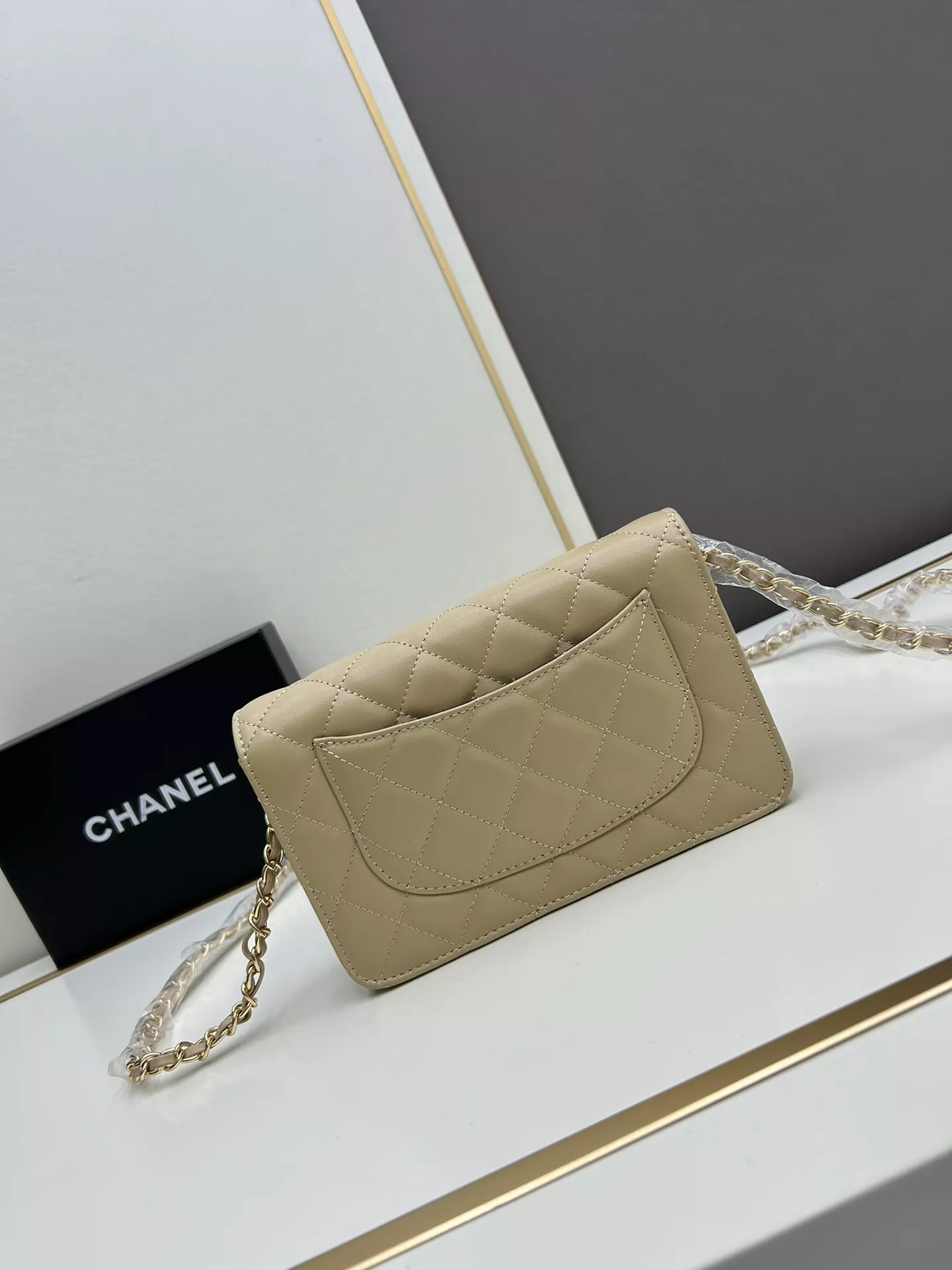 Flexible 4507 Chanel AAA Quality Messenger Bags For Women