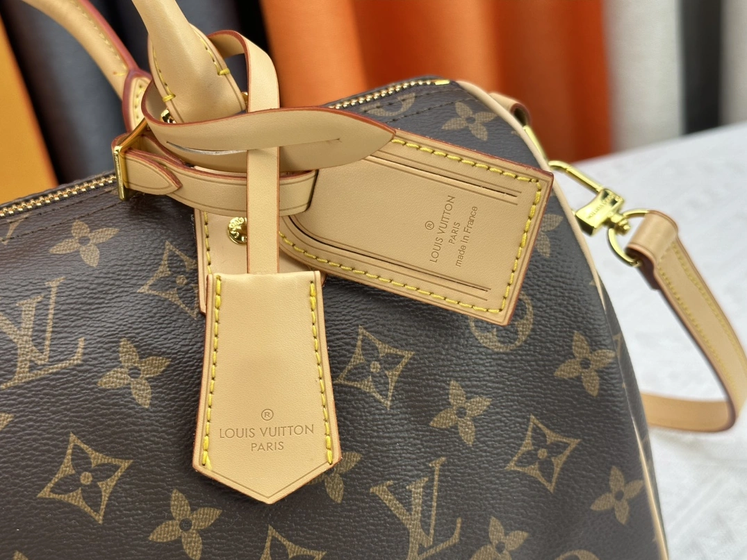 Flexible 4578 Louis Vuitton AAA Quality Handbags For Women