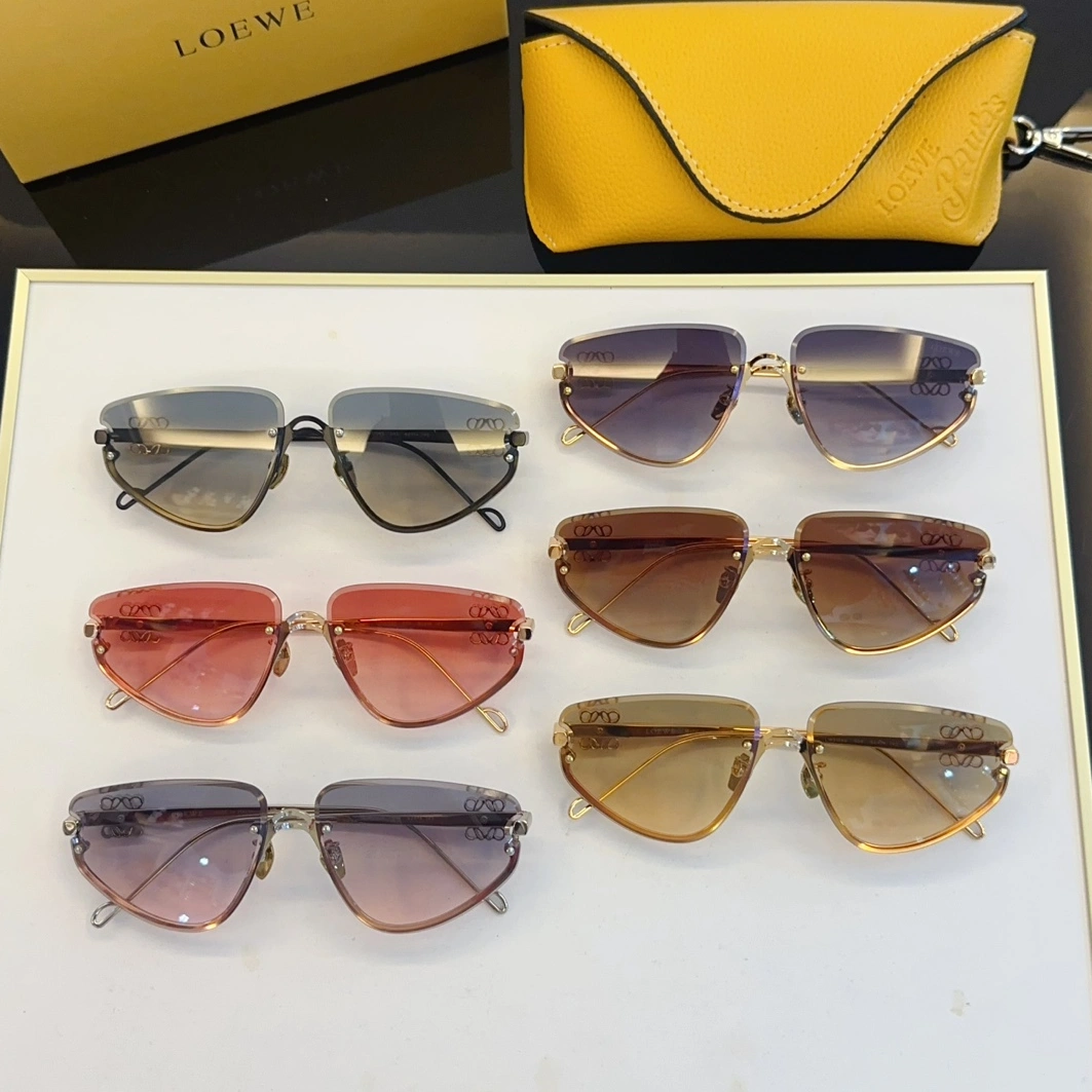 Flexible 6041 LOEWE AAA Quality Sunglasses